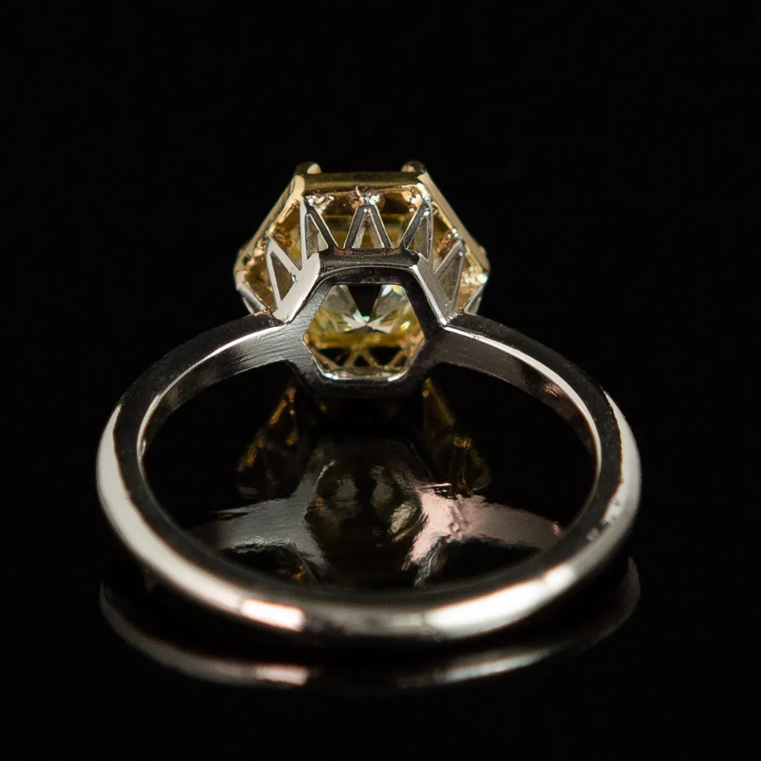 /public/photos/live/384 (5).webp